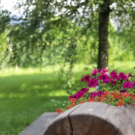 Zirbentraum Appartement Lana