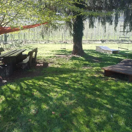 Apartment Zirbentraum