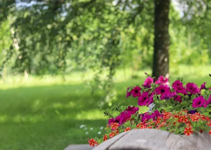 Zirbentraum Lägenhet Lana